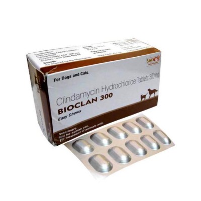 Sava Healthcare Bioclan Clindamycin Hydrochloride Tablets 300mg